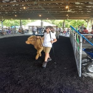 Honey Suckle Kent County Fair